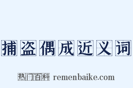 捕盗偶成近义词是什么意思的图片